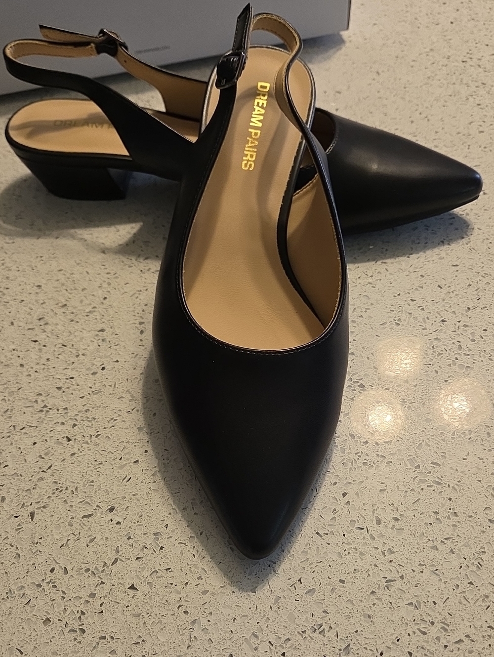 Dream Pairs Black Pointed Slingback Low Block Heel Pumps